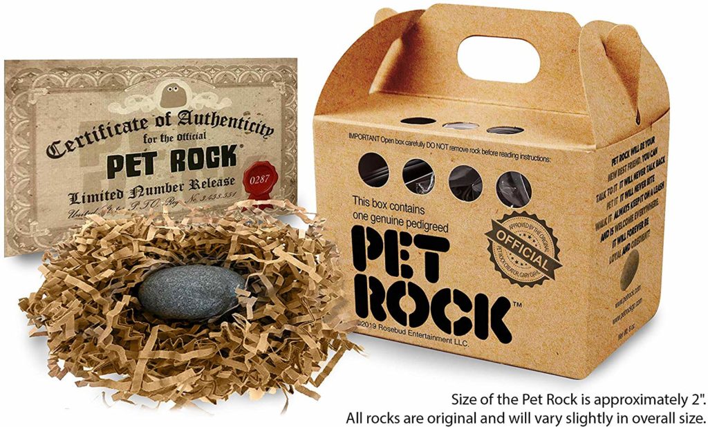 pet rocks