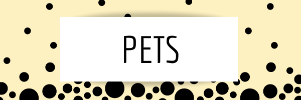 the pet niche