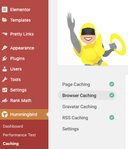 Hummingbird caching tool